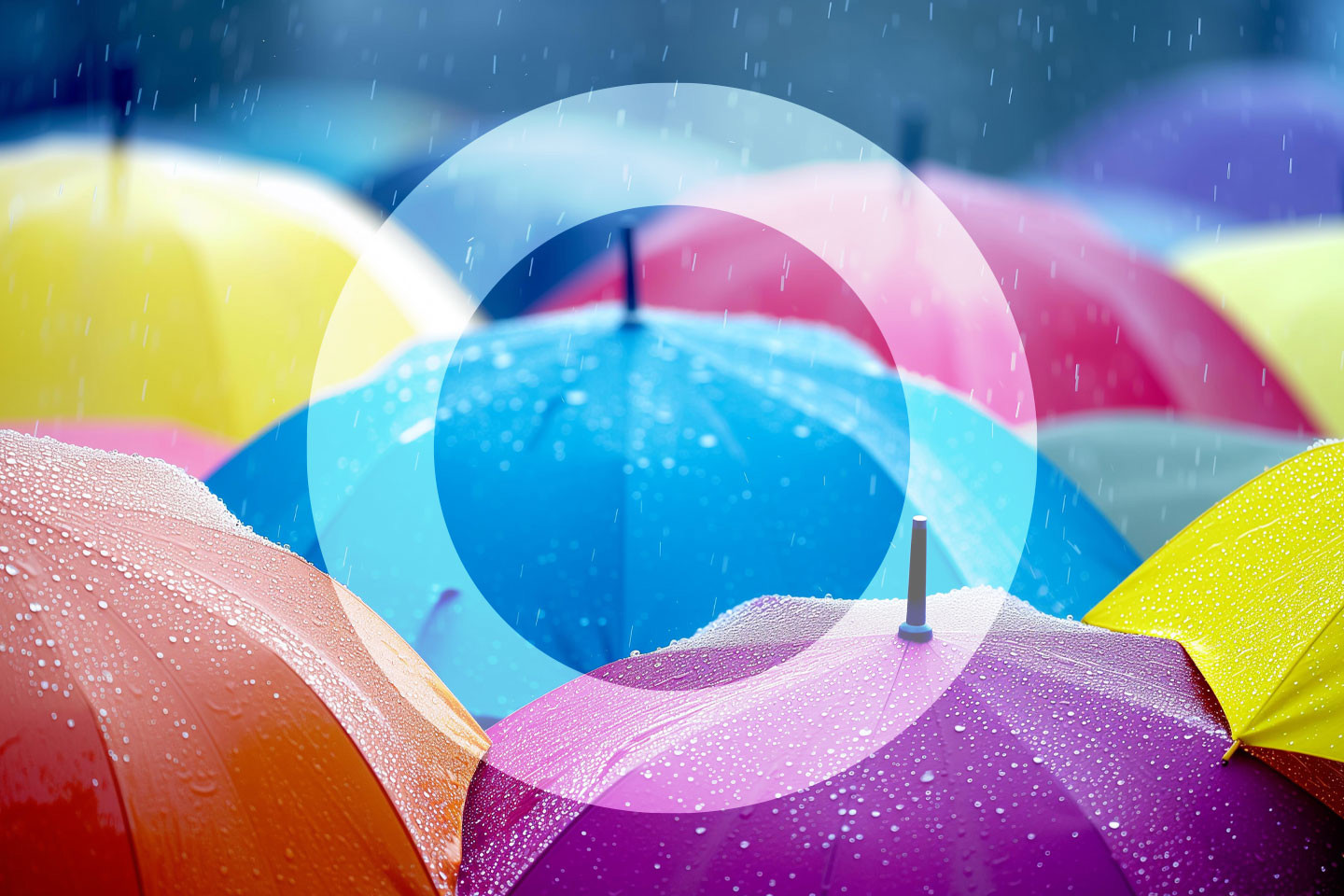 Colourful Umbrellas