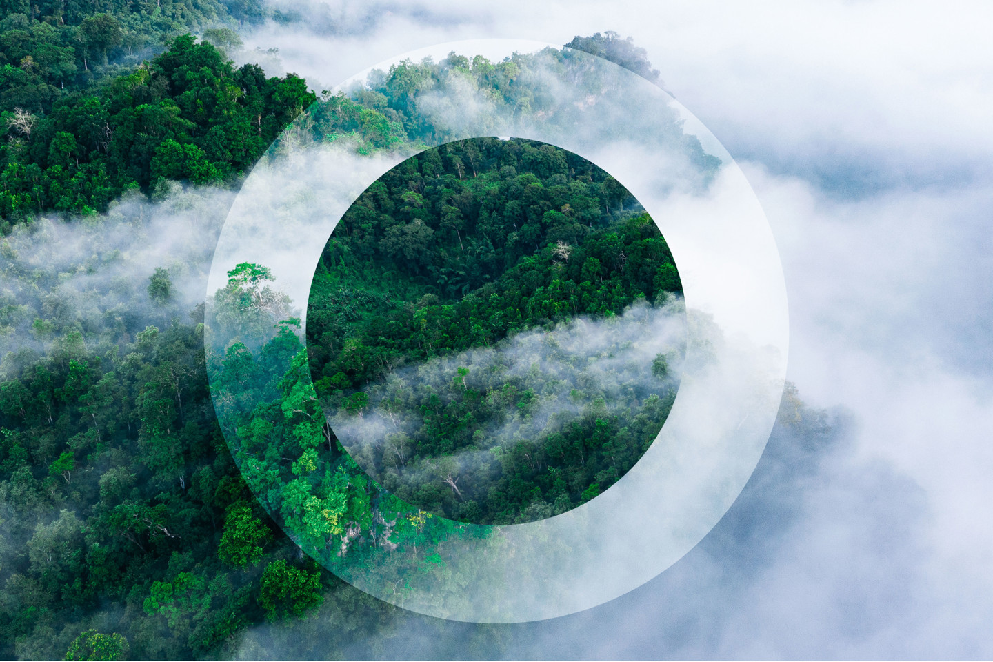 ESG Forest and Clouds