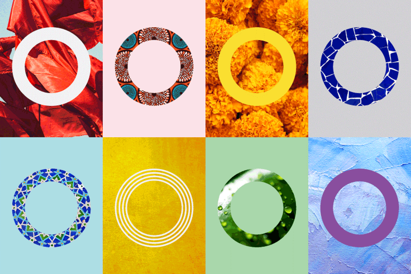 DandI Grid 800 x 550