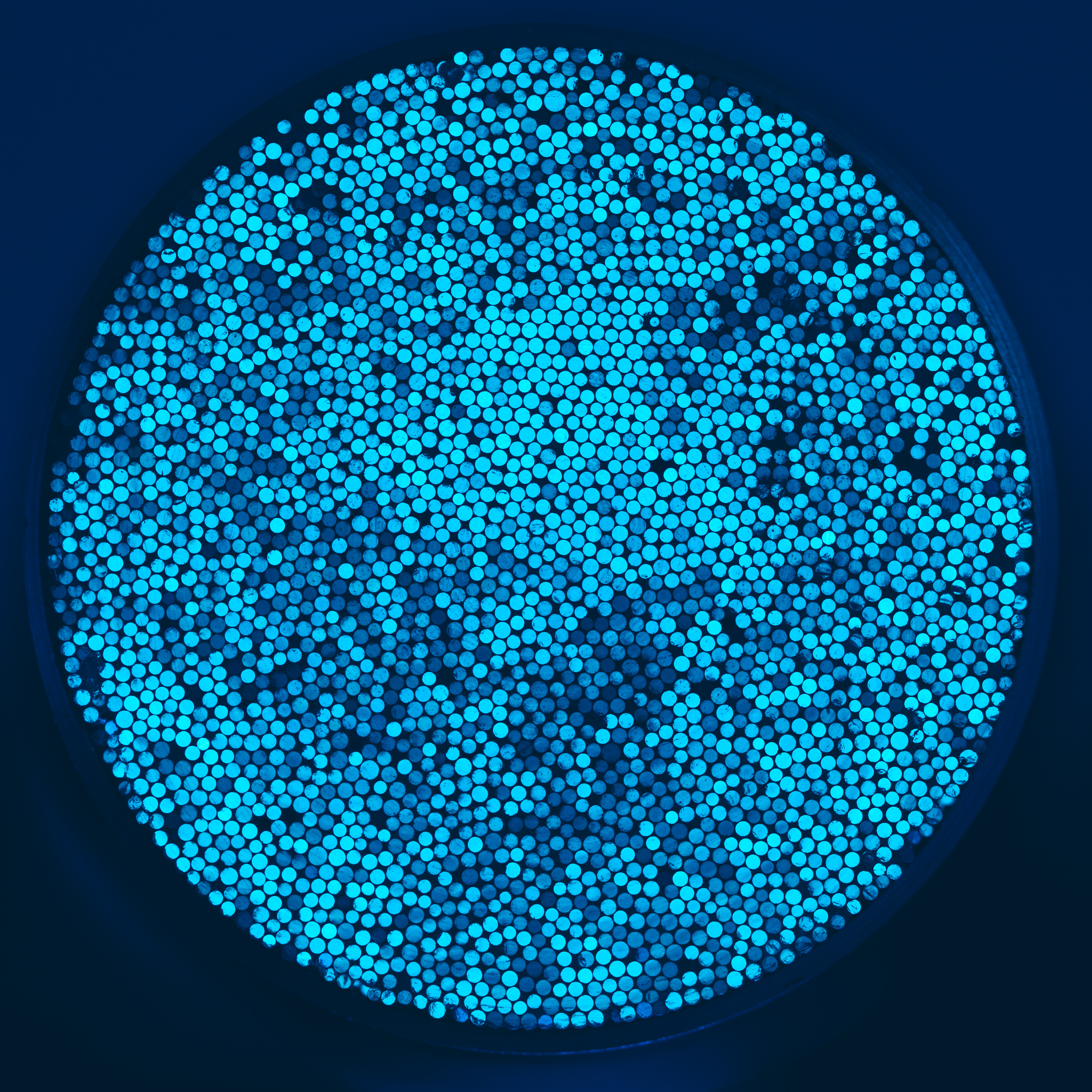 Hundreds of bright blue spots forming a circle 