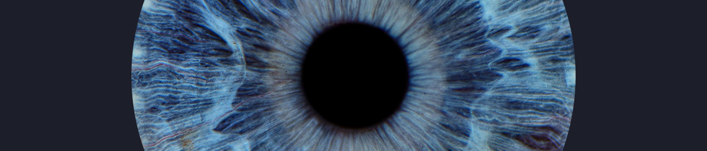 Blue Iris (Regulatory)